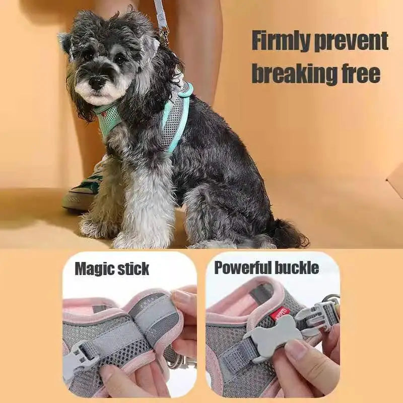 MADDEN Pet Vest Harness