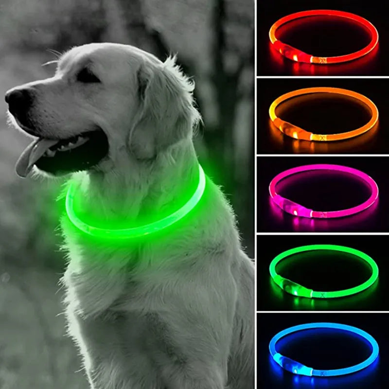 Luminous Glowing Pet Collar