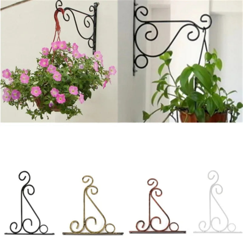 Wall Planter Hanging Plants