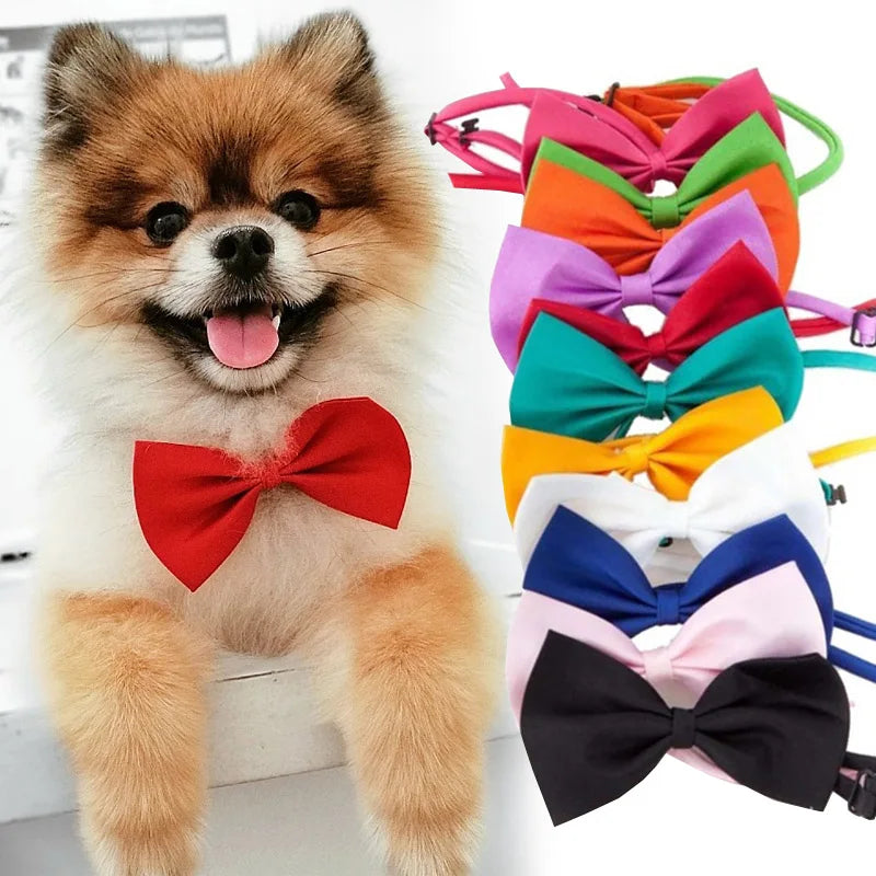 Adjustable Formal Pet Bow Necktie