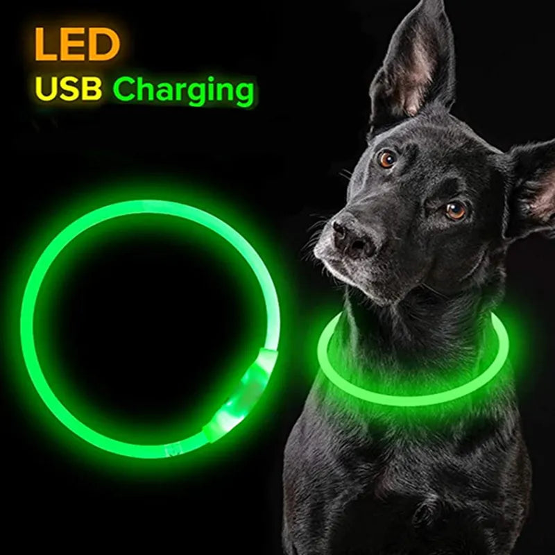 Luminous Glowing Pet Collar
