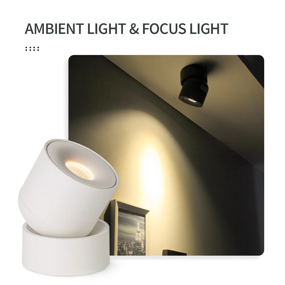 Aisilan Rotating LED Ceiling Lamp
