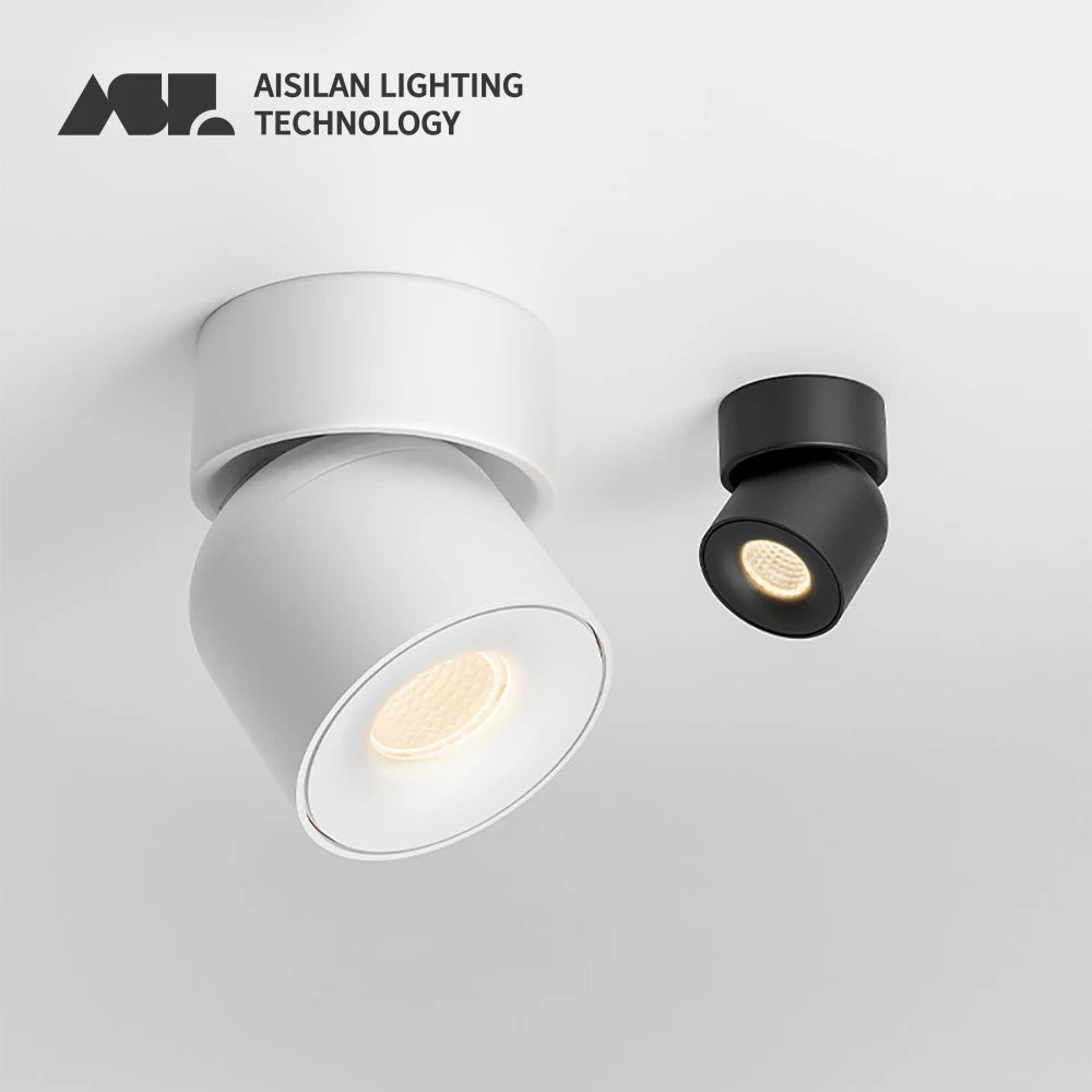Aisilan Rotating LED Ceiling Lamp
