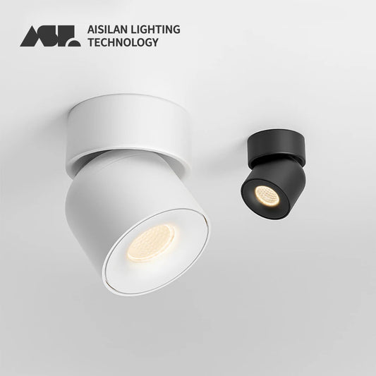 Aisilan Rotating LED Ceiling Lamp