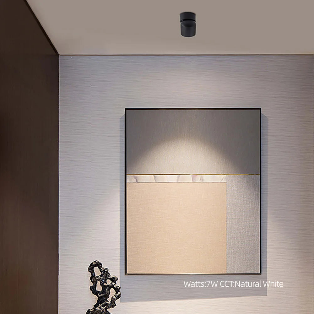 Aisilan Rotating LED Ceiling Lamp