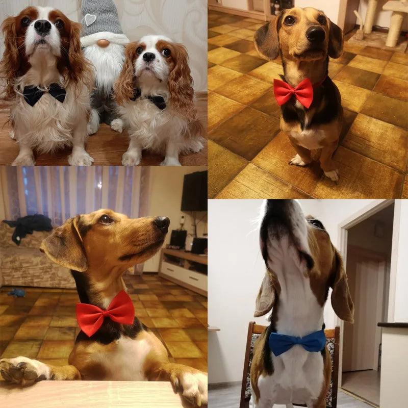 Adjustable Formal Pet Bow Necktie